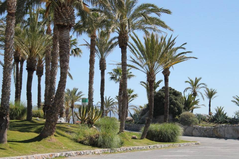 Coral Paradise Apartment With Swimming Pool La Herradura  Zewnętrze zdjęcie